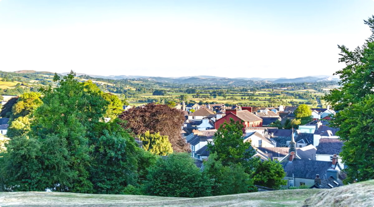 Onze autoverhuurservices bieden een gevarieerde selectie van voertuigen in Llandeilo.